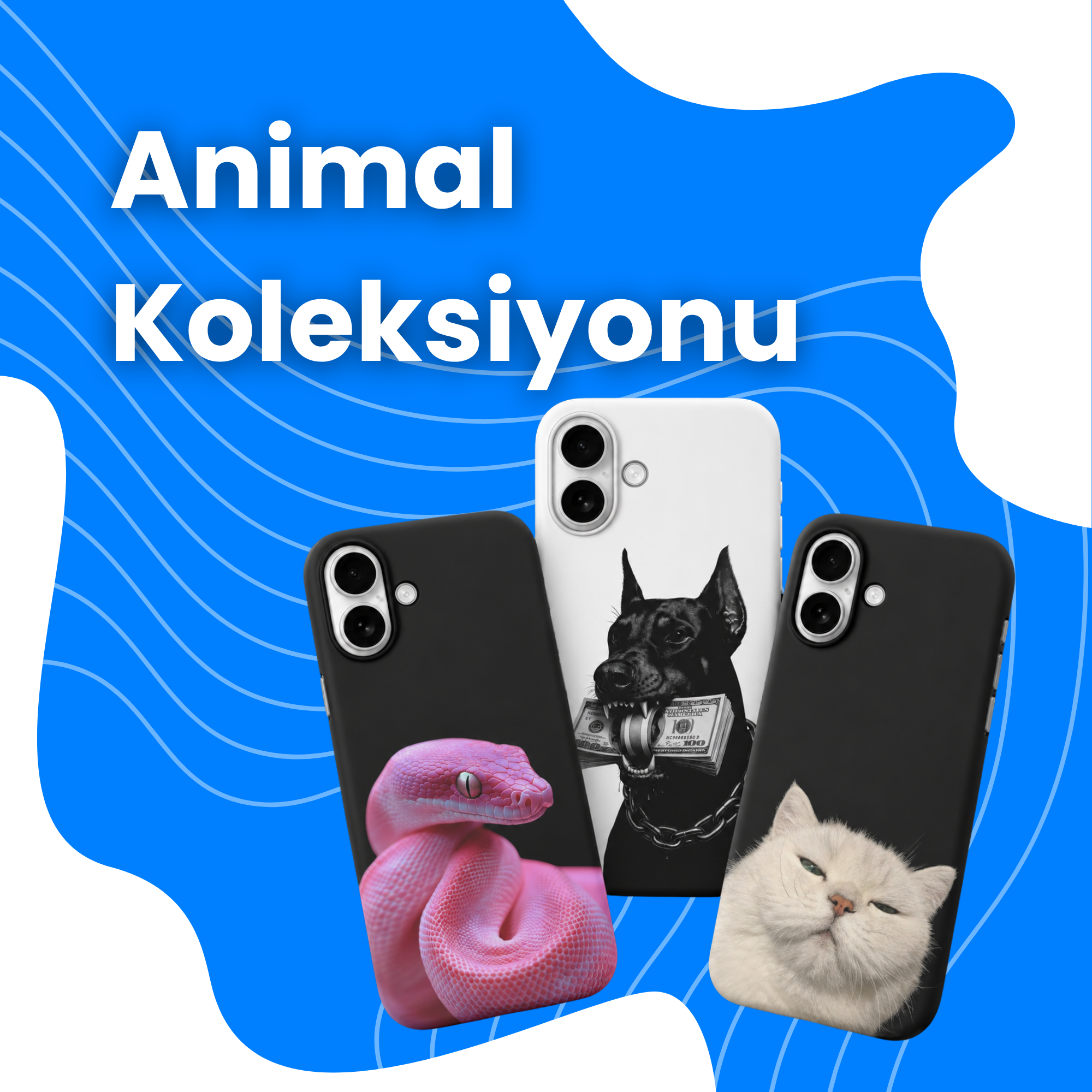 ANIMAL – Clasio Cover