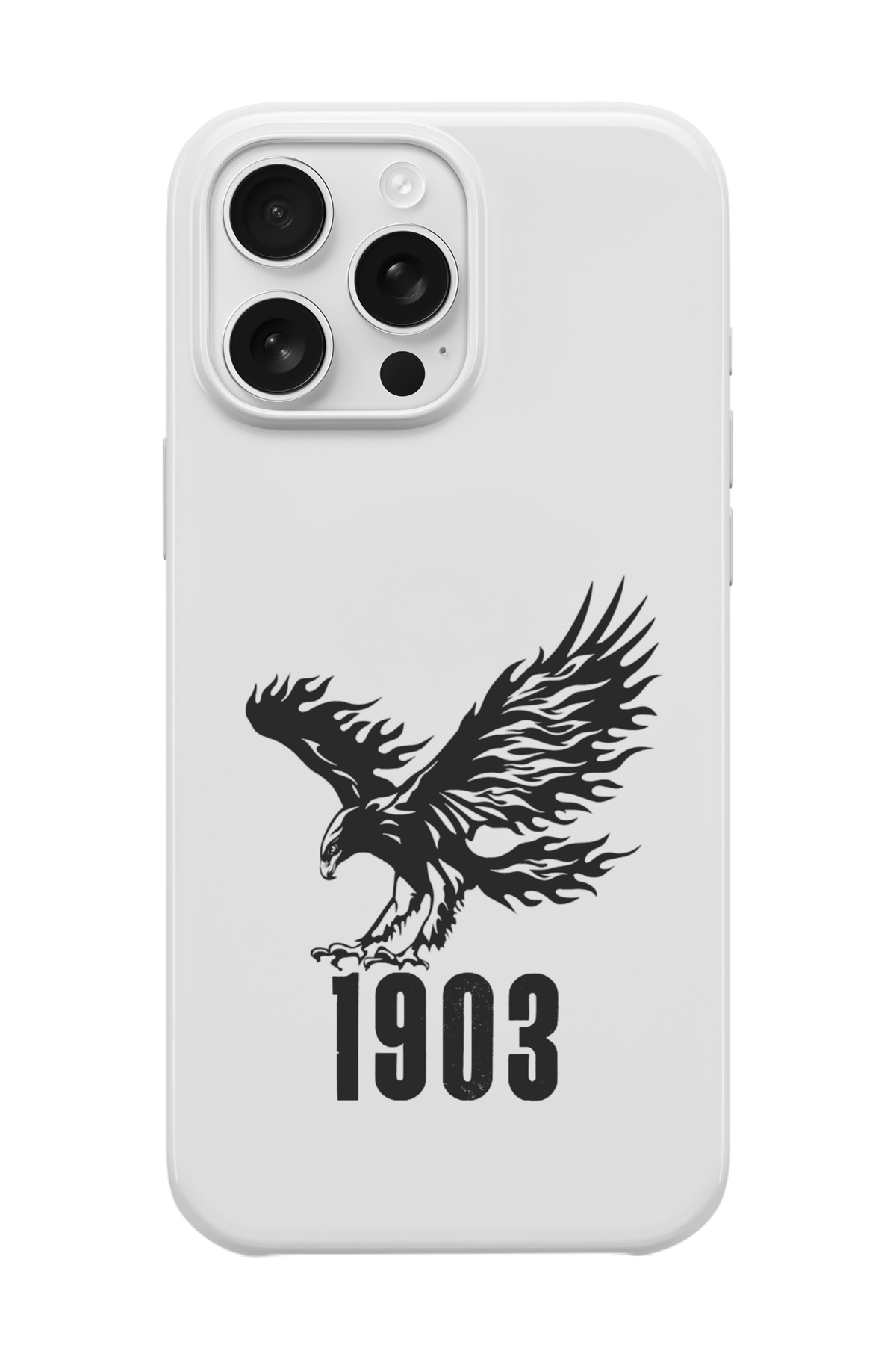 1903 Kartal Telefon Kılıfı R673