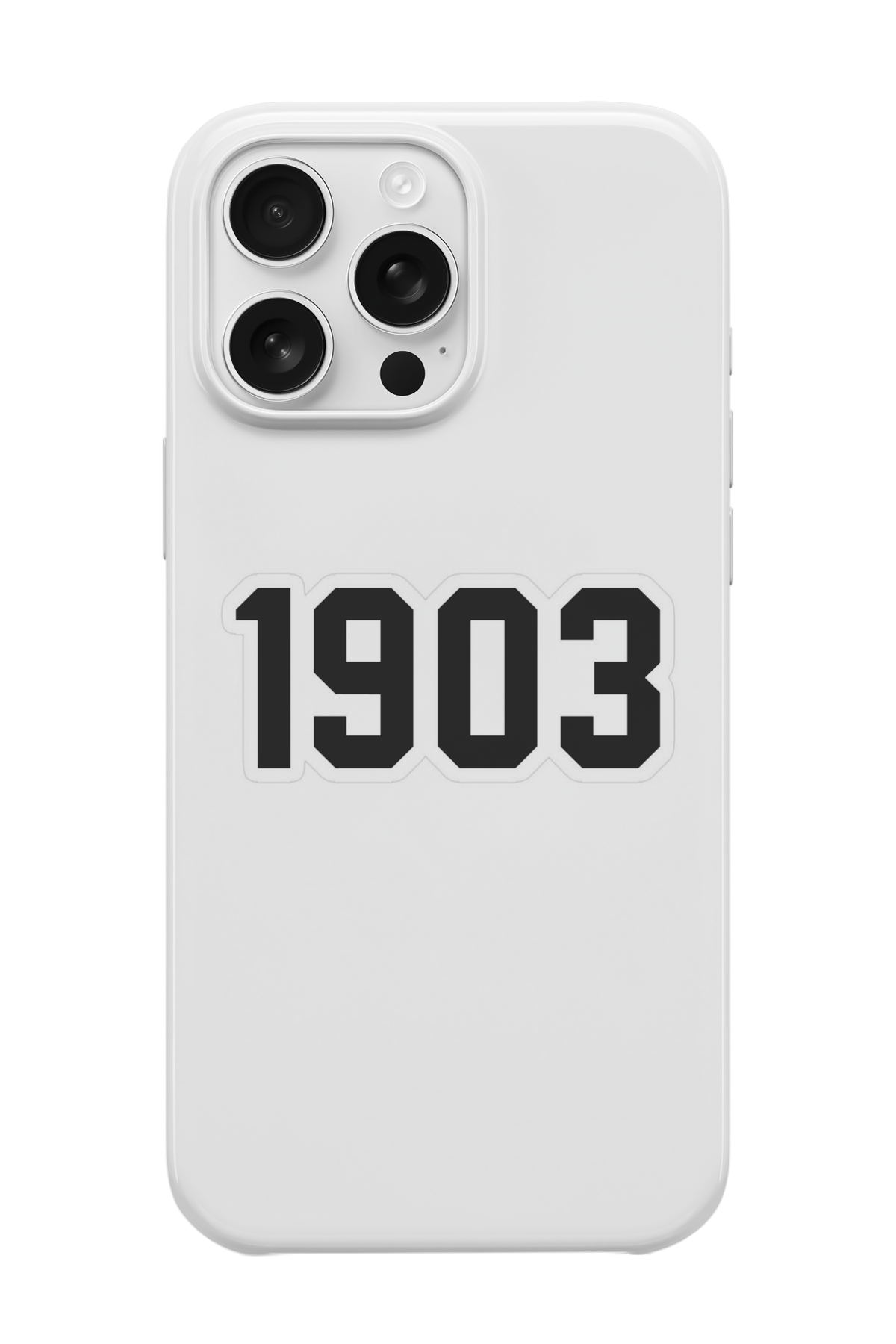 1903 Telefon Kılıfı R674